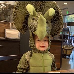 Dinosaur costume